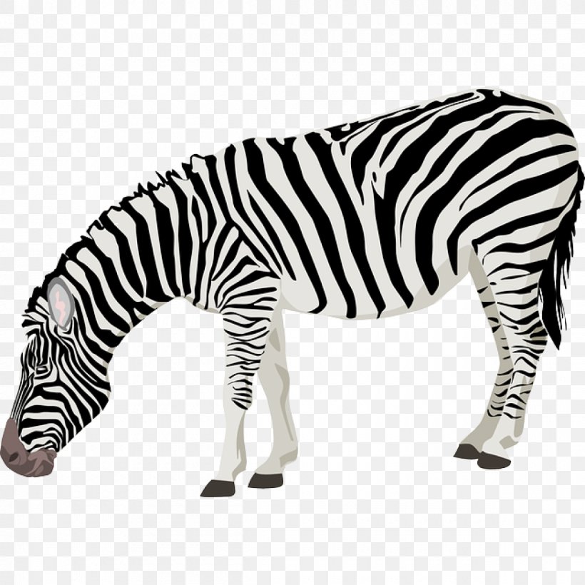 Zebra Clip Art, PNG, 1200x1200px, Zebra, Animal Figure, Black And White, Display Resolution, Horse Like Mammal Download Free