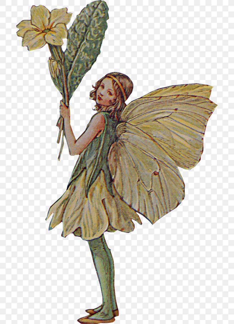 Fairy The Book Of The Flower Fairies Pixie, PNG, 705x1134px, Fairy, Book Of The Flower Fairies, Cicely Mary Barker, Costume Design, Drawing Download Free
