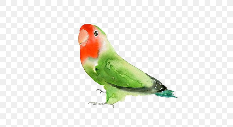 Budgerigar Lovebird Parrot Watercolor Painting, PNG, 564x448px, Budgerigar, Art, Beak, Bird, Common Pet Parakeet Download Free