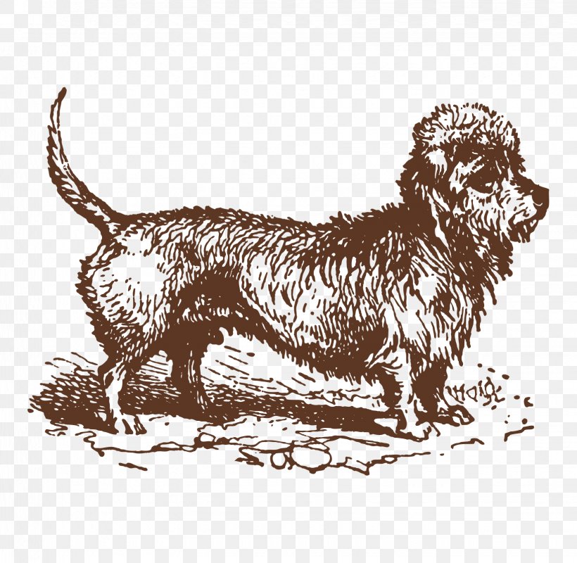 Bulldog Dog Breed Drawing Puppy, PNG, 1635x1596px, Bulldog, Black And White, Carnivoran, Dog, Dog Breed Download Free