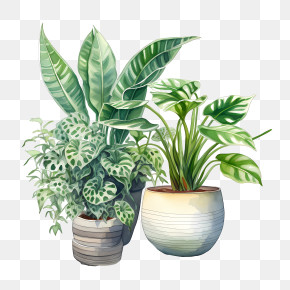 Houseplant Appreciation Day - Illustration Of Potted Green Plants PNG
