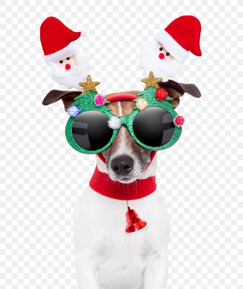 Santa Claus Dog Christmas Card Gift, PNG, 650x974px, Dog, Animal, Christmas, Christmas Card, Christmas Decoration Download Free