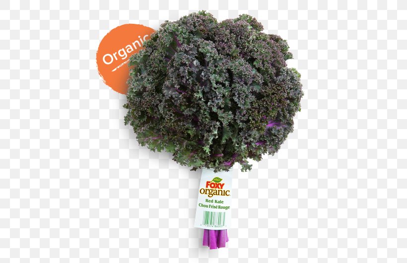 Tree Shrub Herb, PNG, 530x530px, Tree, Grass, Herb, Lavender, Plant Download Free