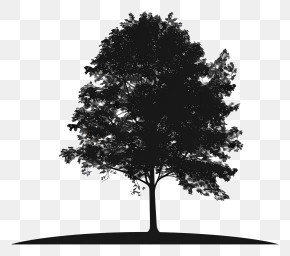 Tree Silhouette - Silhouette Of A Tree On Hill PNG