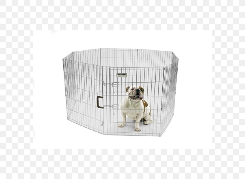 Dog Breed Dog Crate Pet Animal Shelter, PNG, 600x600px, Dog, Animal, Animal Shelter, Breed, Cage Download Free