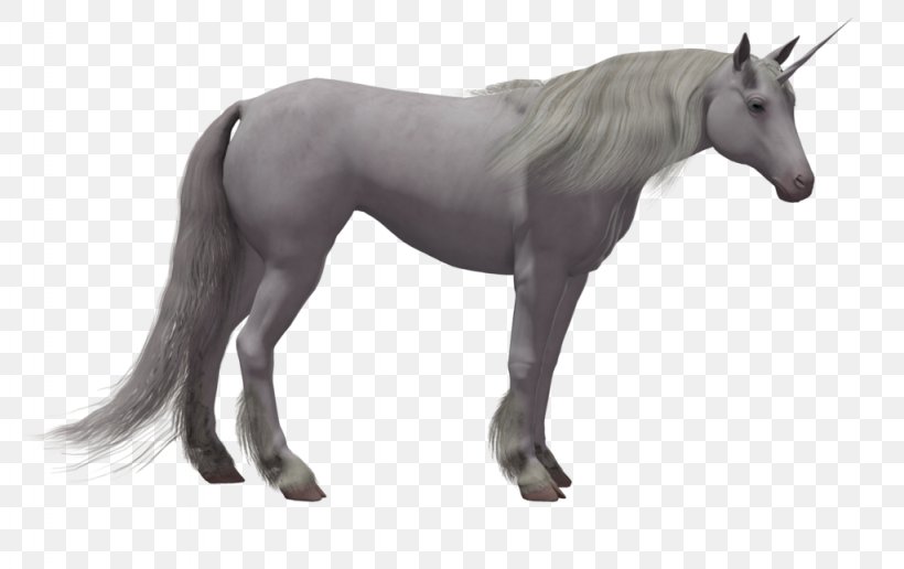 Horse Stallion Colt Pony Foal, PNG, 1024x645px, Horse, Animal Figure, Colt, Drawing, Fictional Character Download Free