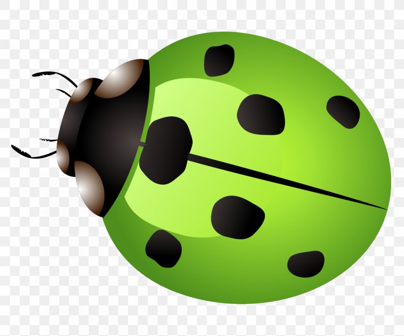 Ladybird Car Icon, PNG, 1200x999px, Ladybird, Beetle, Bumper Sticker, Car, Cartoon Download Free