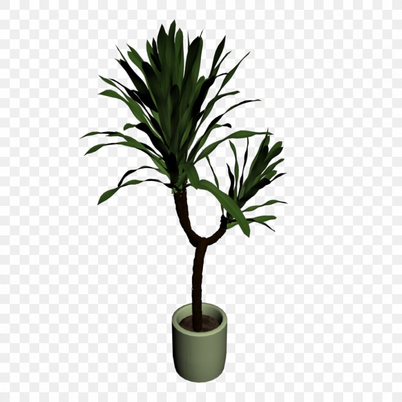 Yucca Filamentosa Houseplant Plant Stem Flowerpot, PNG, 1000x1000px, Yucca Filamentosa, Arecales, Computer Software, Evergreen, Flowerpot Download Free
