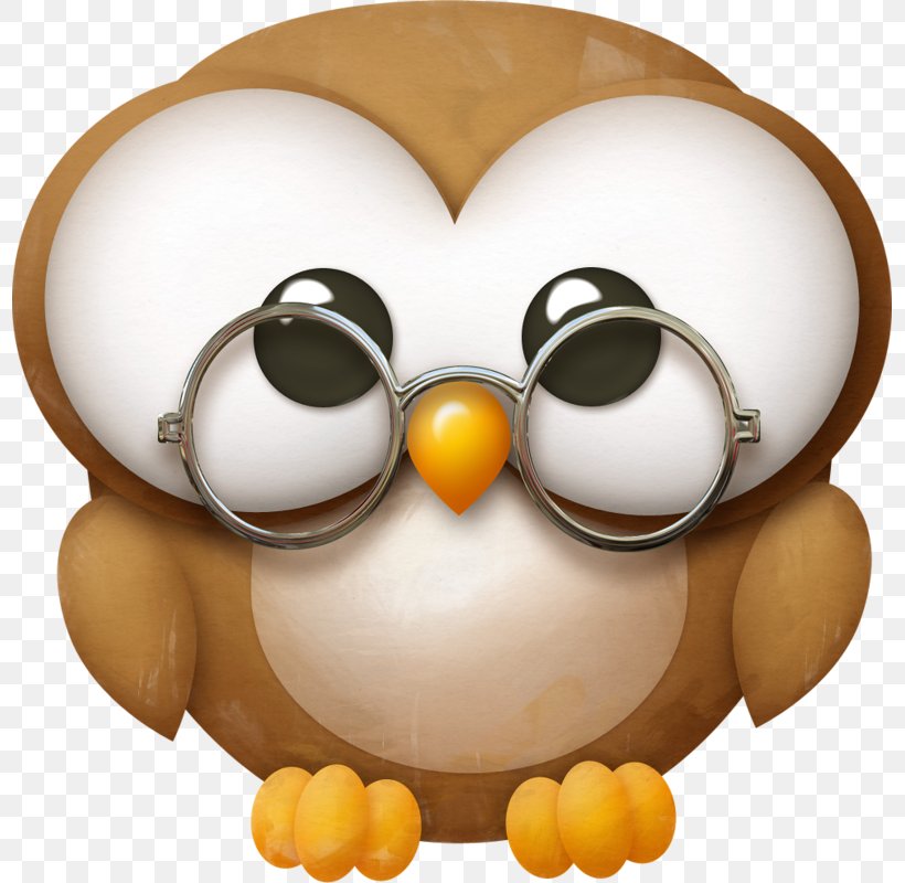 Barn Owl Drawing Little Owl, PNG, 797x800px, Owl, Barn Owl, Beak, Bird, Bird Of Prey Download Free