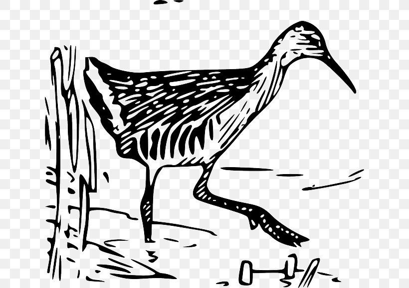 Beak King Rail Bird Clip Art, PNG, 640x579px, Beak, Anatidae, Artwork, Bird, Black And White Download Free