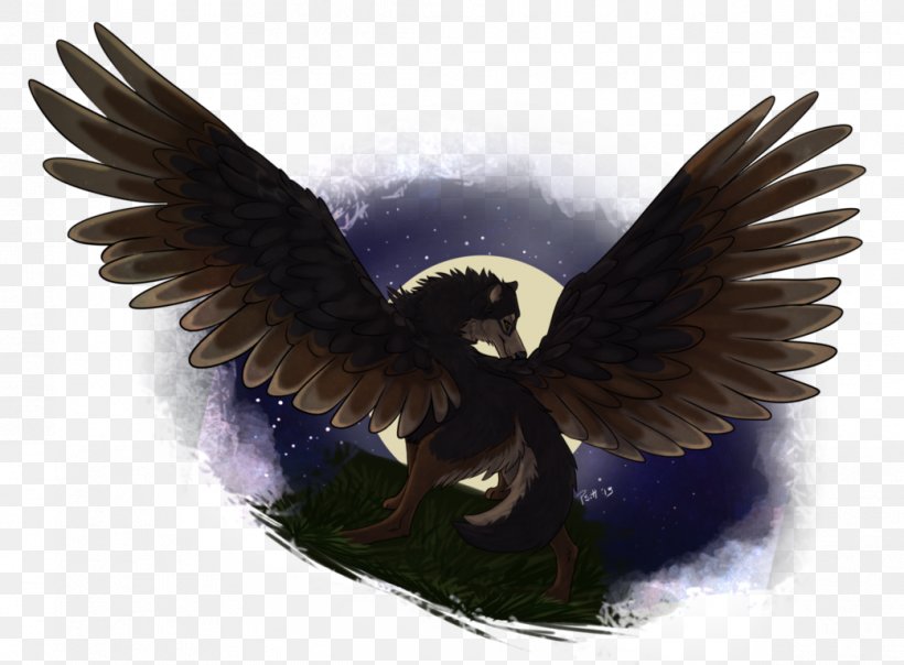 Eagle Beak Feather Angel M, PNG, 1041x767px, Eagle, Angel, Angel M, Beak, Bird Download Free