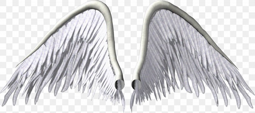 Angel Wing Clip Art, PNG, 1558x694px, Angel, Author, Black And White, Blog, Drawing Download Free