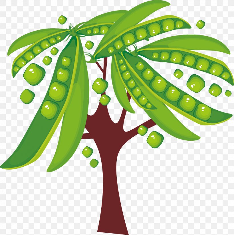 Pea Tree Icon, PNG, 1756x1761px, Pea, Auglis, Branch, Cabochon, Food Download Free
