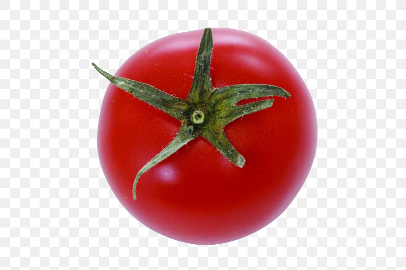 Plum Tomato Cherry Tomato Bush Tomato, PNG, 820x546px, Plum Tomato, Auglis, Budi Daya, Bush Tomato, Cherry Tomato Download Free