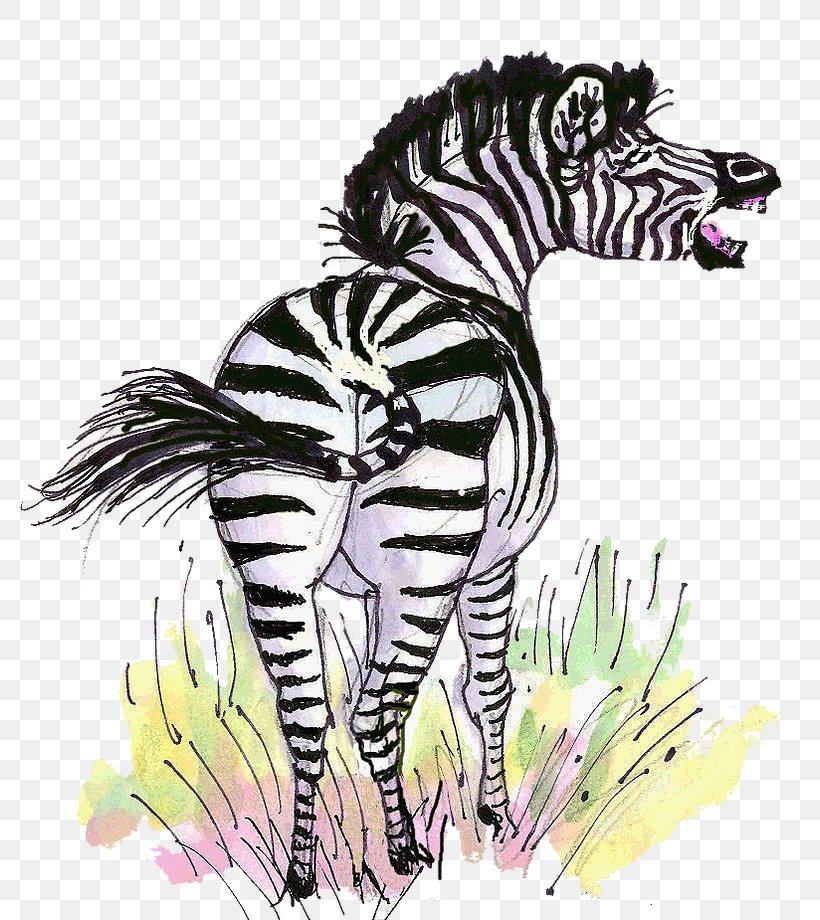 Tiger Quagga The Zebra Mane, PNG, 779x920px, Tiger, Animal, Art, Big Cat, Big Cats Download Free