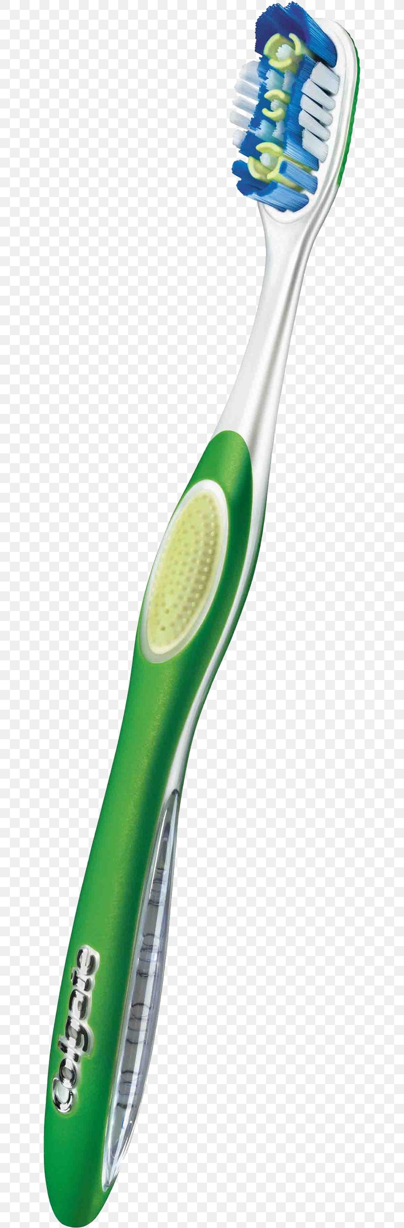 Toothbrush Colgate PhotoScape, PNG, 646x2492px, Toothbrush, Colgate, Colgate Palmolive, Hardware, Palmolive Download Free