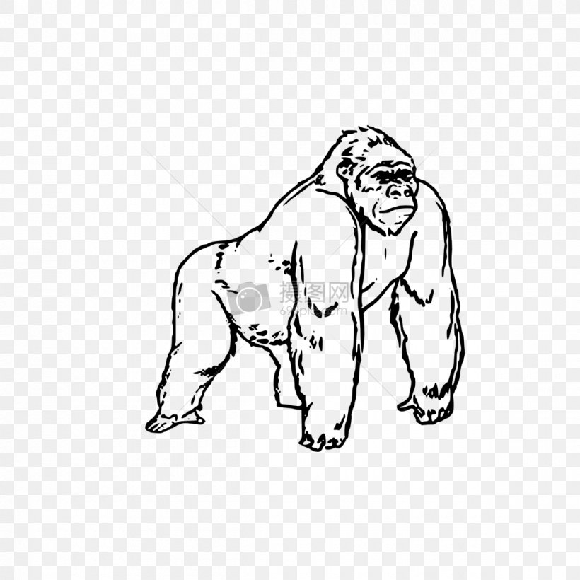 Gorilla Coloring Book Colouring Pages Image Child, PNG, 1200x1200px, Watercolor, Cartoon, Flower, Frame, Heart Download Free