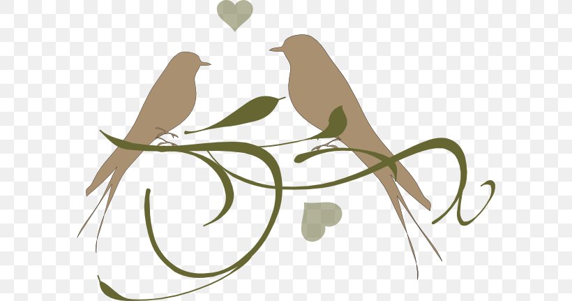 Lovebird Parrot Clip Art, PNG, 600x431px, Lovebird, Beak, Bird, Branch, Feather Download Free