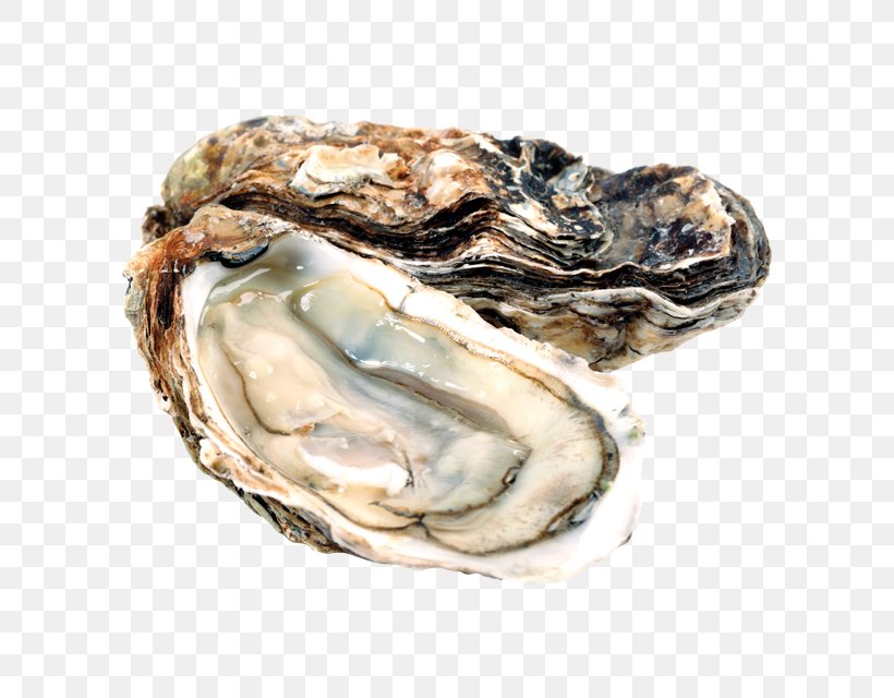 Pacific Oyster Food InterCourses Shellfish, PNG, 640x640px, Oyster, Animal Source Foods, Aphrodisiac, Clam, Clams Oysters Mussels And Scallops Download Free