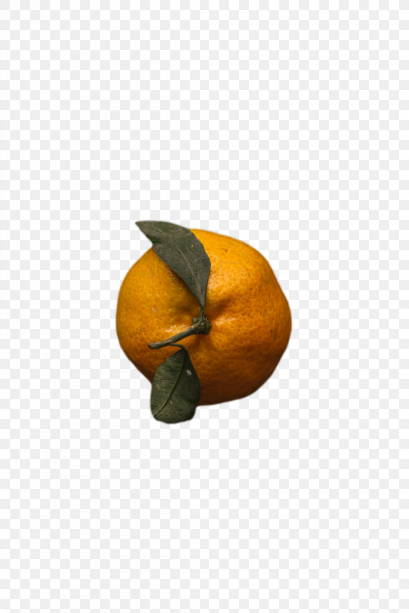 Squash Winter Squash Fruit, PNG, 1200x1798px, Squash, Fruit, Winter Squash Download Free