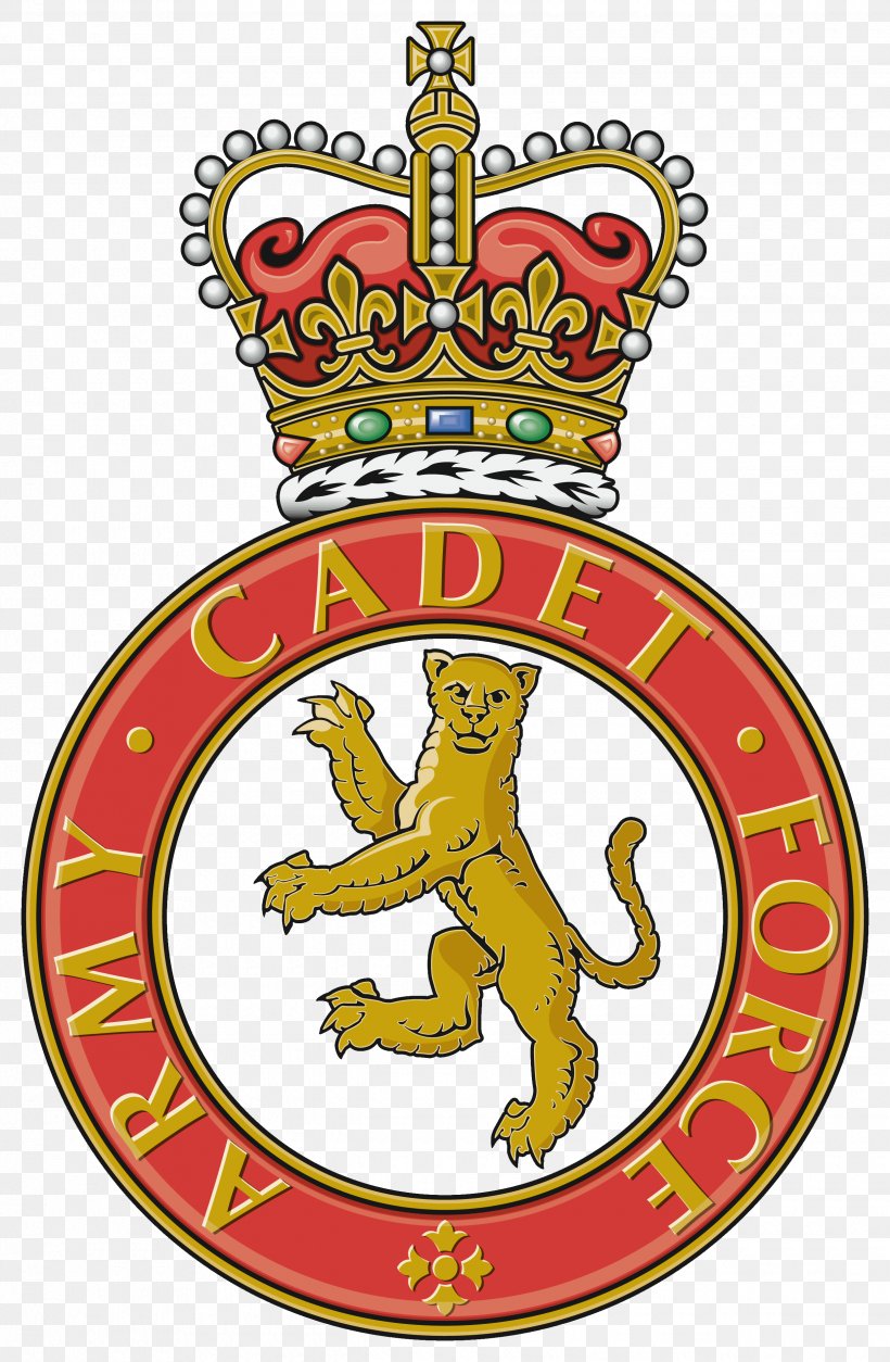 Army Cadet Force Combined Cadet Force Youth Organisations In The United Kingdom Reserve Forces And Cadets Association, PNG, 2480x3794px, Army Cadet Force, Area, Army Reserve, Badge, British Army Download Free