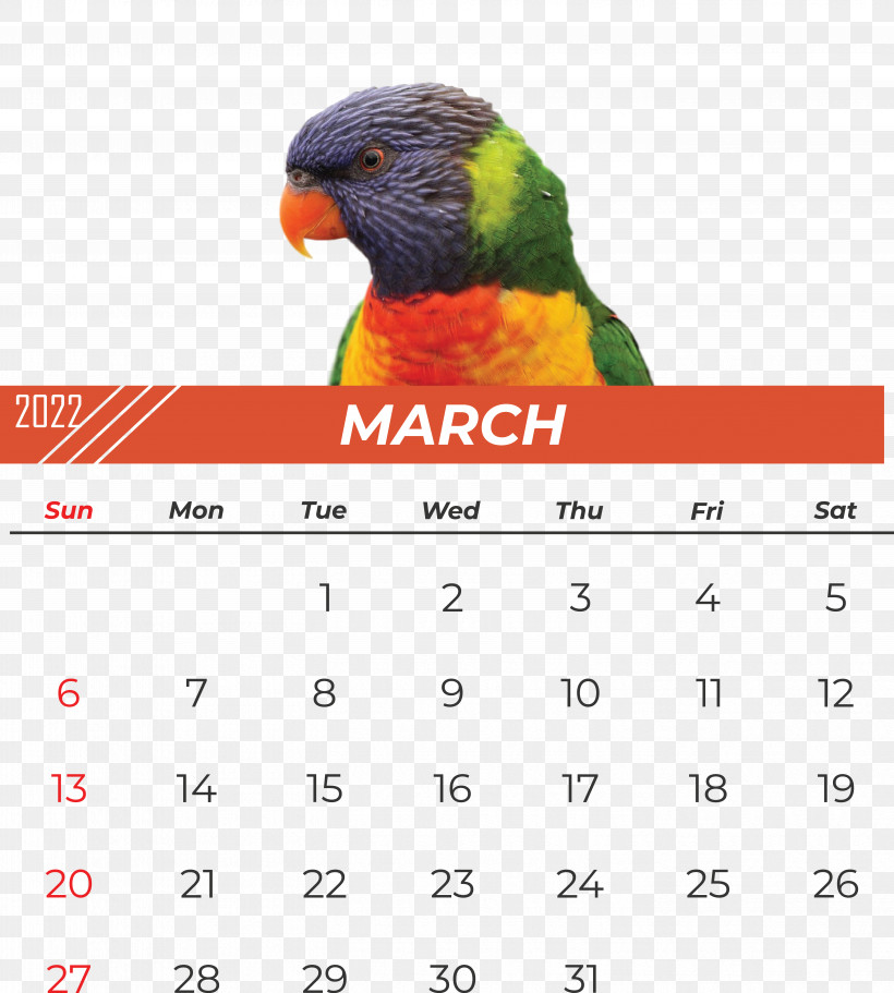 Parrots Beak Calendar Font Meter, PNG, 5607x6236px, Parrots, Beak, Calendar, Meter Download Free