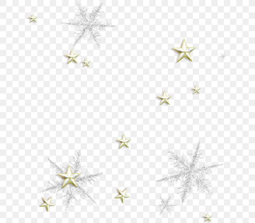 Petal Star Pattern, PNG, 650x716px, Petal, Point, Star, Symmetry, Texture Download Free