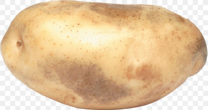 Potato Clip Art, PNG, 2278x1212px, Russet Burbank, Food, French Fries, Potato, Potato And Tomato Genus Download Free