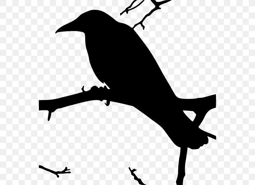 The Raven Common Raven Clip Art, PNG, 570x596px, Raven, Beak, Bird, Black And White, Blog Download Free