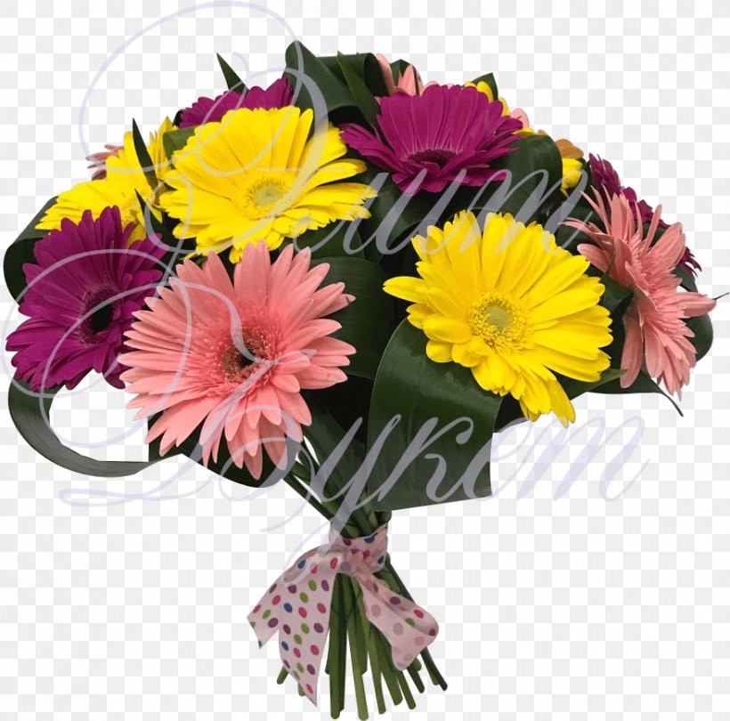 Transvaal Daisy Floral Design Flower Bouquet Cut Flowers, PNG, 878x868px, Watercolor, Cartoon, Flower, Frame, Heart Download Free