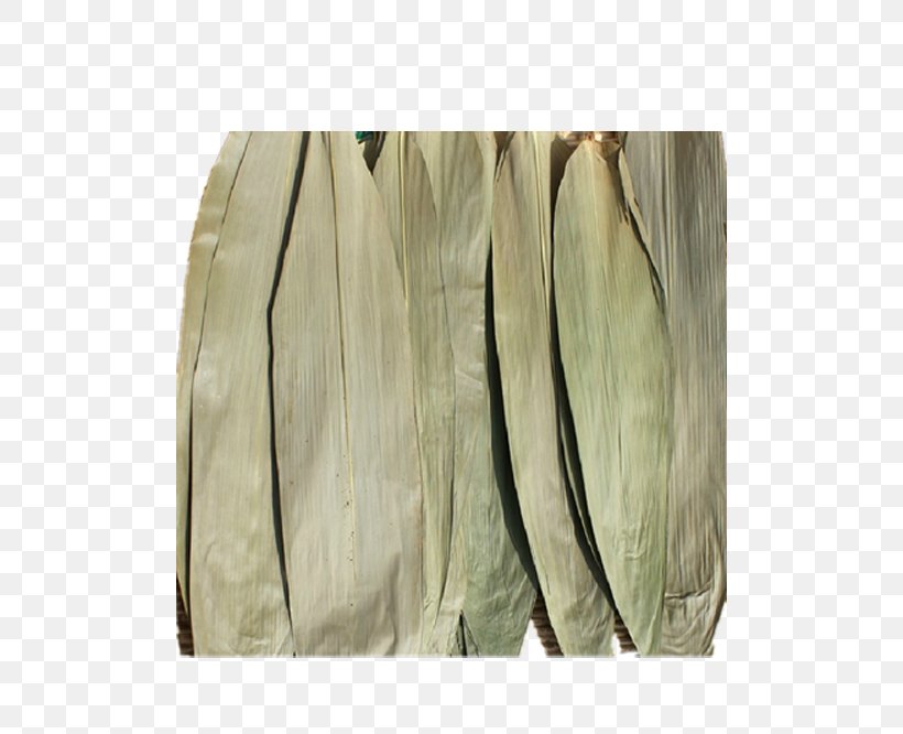 Bamboo Zongzi Leaf Material, PNG, 500x666px, Bamboo, Designer, Leaf, Material, Plant Stem Download Free