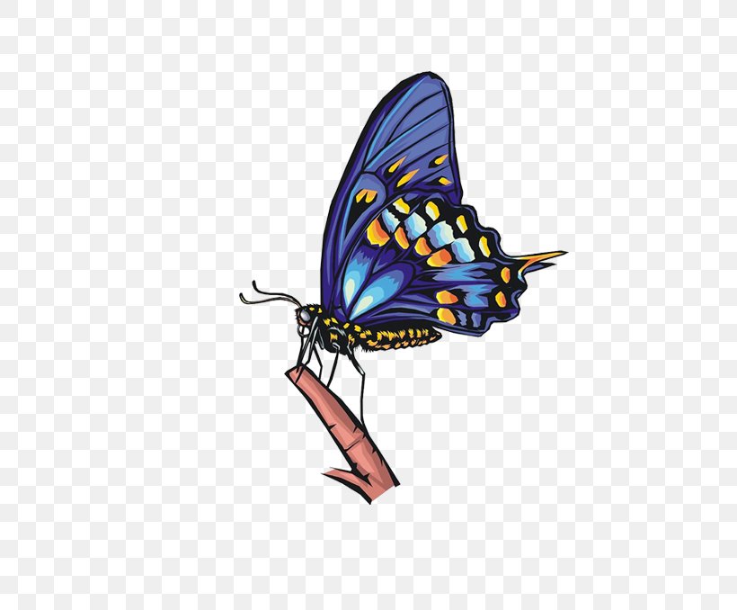 Butterfly Cross-stitch Needlepoint Blue, PNG, 532x678px, Butterfly, Arthropod, Blue, Blue Butterfly, Brush Footed Butterfly Download Free