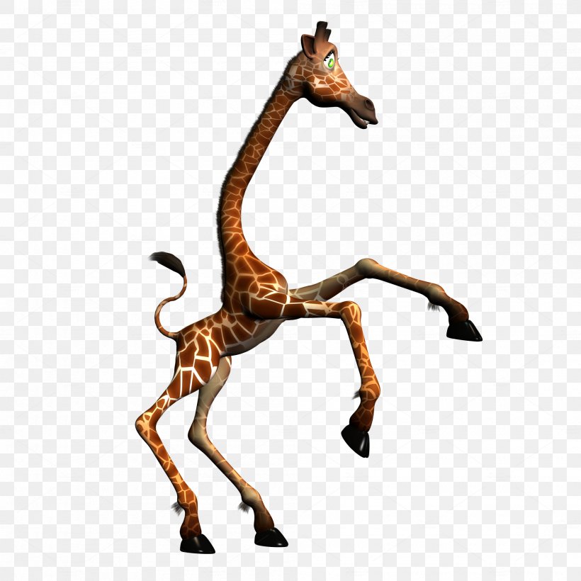 Giraffe Neck Terrestrial Animal Wildlife, PNG, 2000x2000px, Giraffe, Animal, Animal Figure, Fauna, Giraffidae Download Free