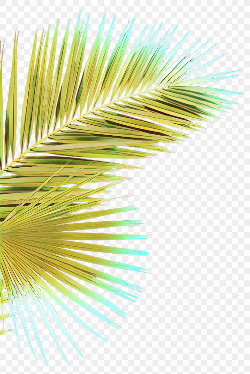 Green Yellow Line Tree Plant, PNG, 826x1236px, Cartoon, Arecales, Green, Plant, Tree Download Free