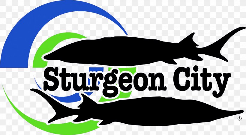 New River Sturgeon City Jacksonville-Onslow Sports Commission Court Street Logo, PNG, 2104x1162px, New River, Brand, City, Court Street, Dolphin Download Free