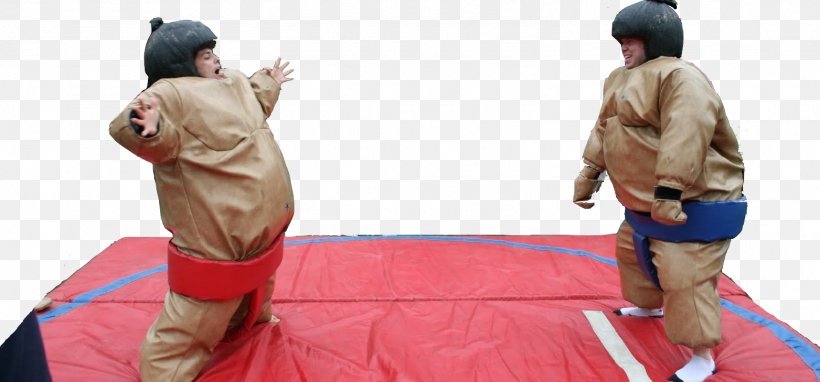 Sumo Combat Sport Grappling Wrestling, PNG, 1563x729px, Sumo, Combat, Combat Sport, Contact Sport, Ewa Download Free