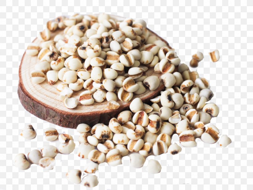 Tea Adlay Food Powder Seed, PNG, 1024x772px, Tea, Adlay, Barley, Bean, Coix Download Free