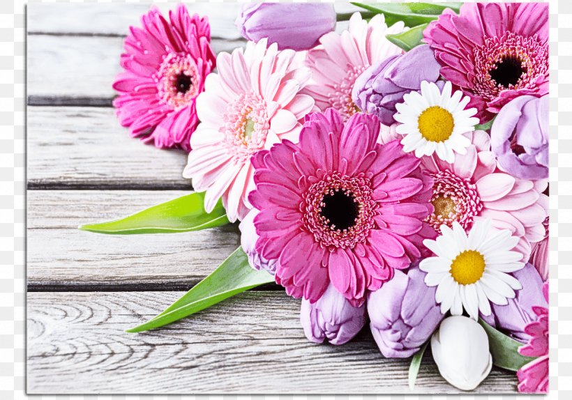 Flower Barberton Daisy Gerbera Pink Petal, PNG, 1000x700px, Flower, Barberton Daisy, Bouquet, Cut Flowers, Gerbera Download Free