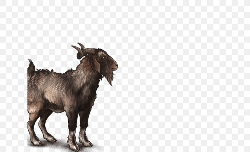 Goat Fauna Wildlife Snout, PNG, 640x500px, Goat, Cow Goat Family, Fauna, Goat Antelope, Goats Download Free