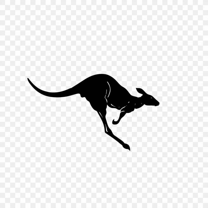Kangaroo Silhouette, PNG, 5000x5000px, Kangaroo, Animal, Black, Black And White, Carnivoran Download Free