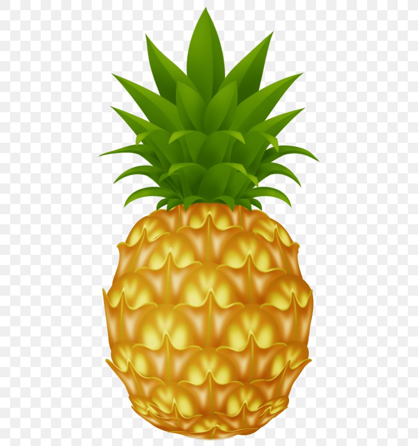 Clip Art Pineapple Image Vector Graphics, PNG, 481x875px, Pineapple, Ananas, Bromeliaceae, Commodity, Drawing Download Free