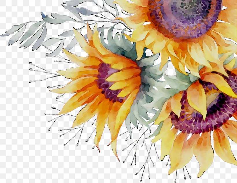 Common Sunflower Floral Design Cut Flowers Pot Marigold Watercolor Painting, PNG, 1152x890px, Common Sunflower, Art, Aster, Cut Flowers, Daisy Family Download Free