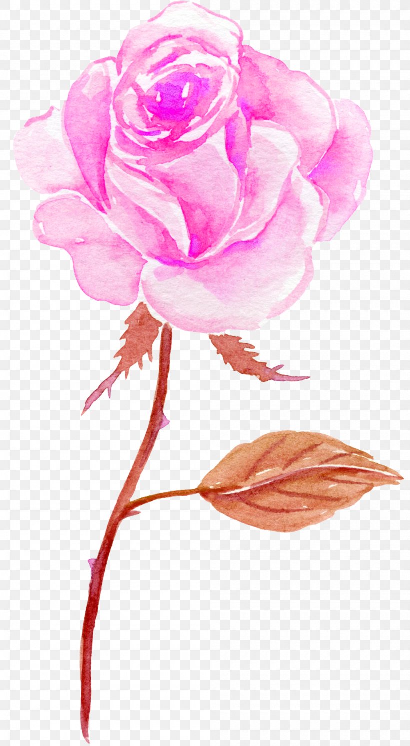 Flower Watercolor Painting, PNG, 1000x1820px, Flower, Aesthetics, Carnation, Cut Flowers, Floral Design Download Free