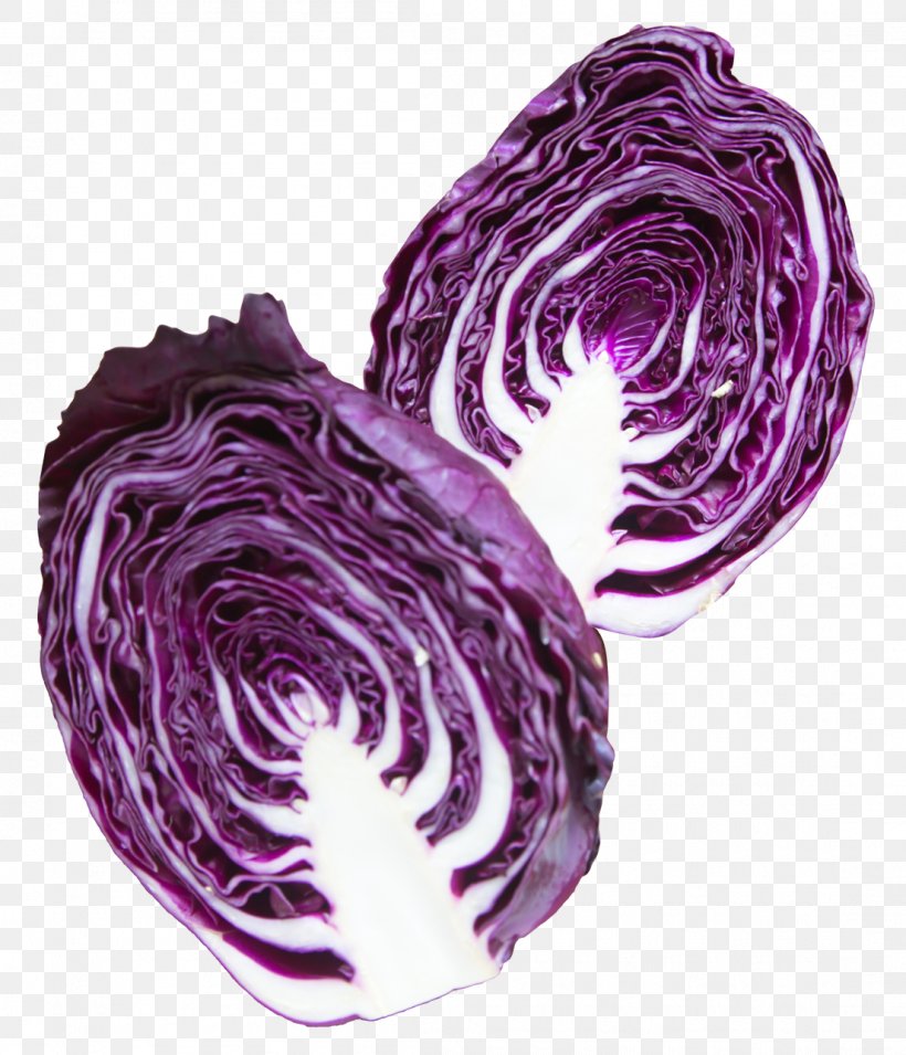 Red Cabbage Purple Vegetable, PNG, 1105x1288px, Cabbage, Brassica Juncea, Brassica Oleracea, Color, Food Download Free