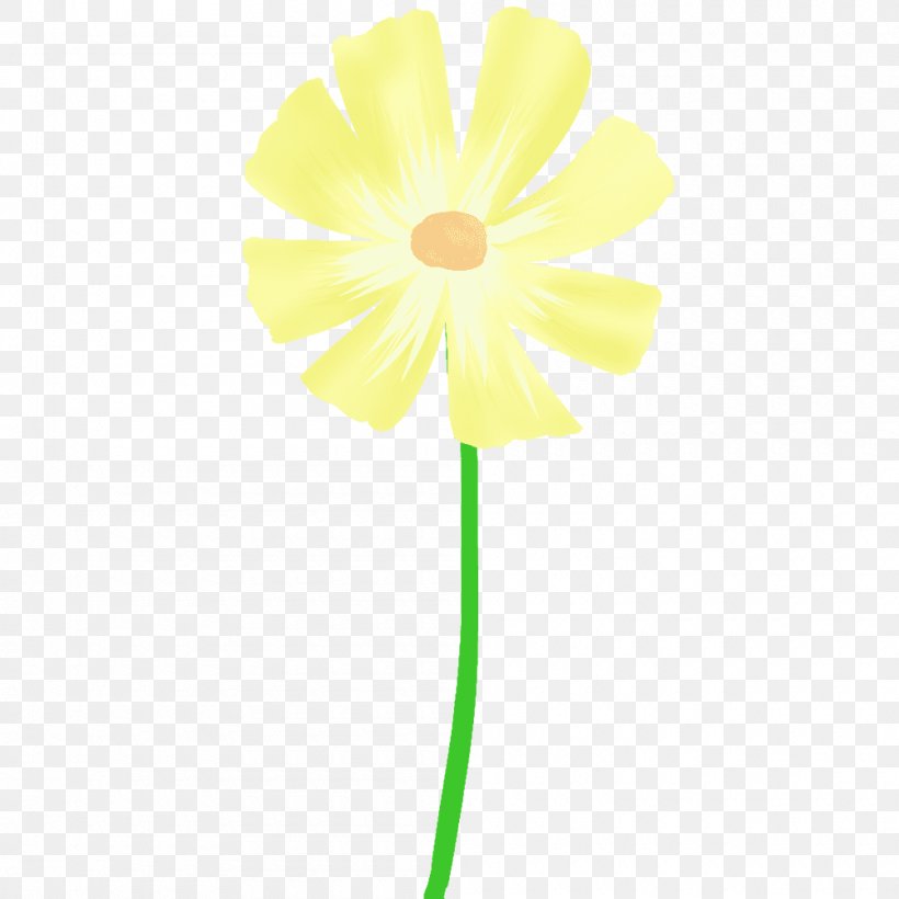 Daisy Family Cut Flowers Plant Stem Common Daisy, PNG, 1000x1000px, Daisy Family, Common Daisy, Cut Flowers, Flower, Flowering Plant Download Free