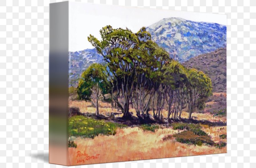 Avalon Two Harbors Painting Gum Trees Art, PNG, 650x537px, Avalon, Acrylic Paint, Art, Canvas, Canvas Print Download Free