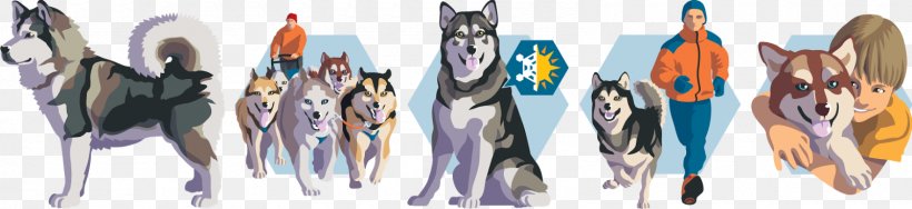 Dog Breed Ski Bindings Surprise Doubt, PNG, 1600x368px, Dog, Breed, Dog Breed, Doubt, Gray Wolf Download Free