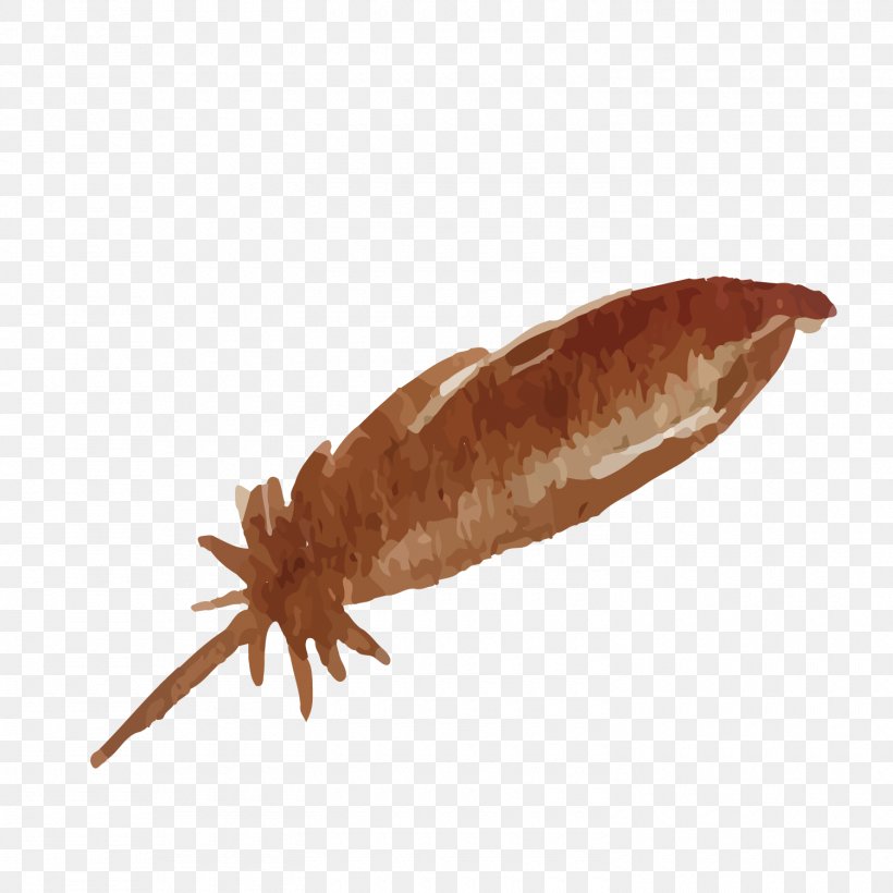 Feather Euclidean Vector, PNG, 1500x1500px, Watercolor Painting, Animal Source Foods, Feather, Food, Insect Download Free