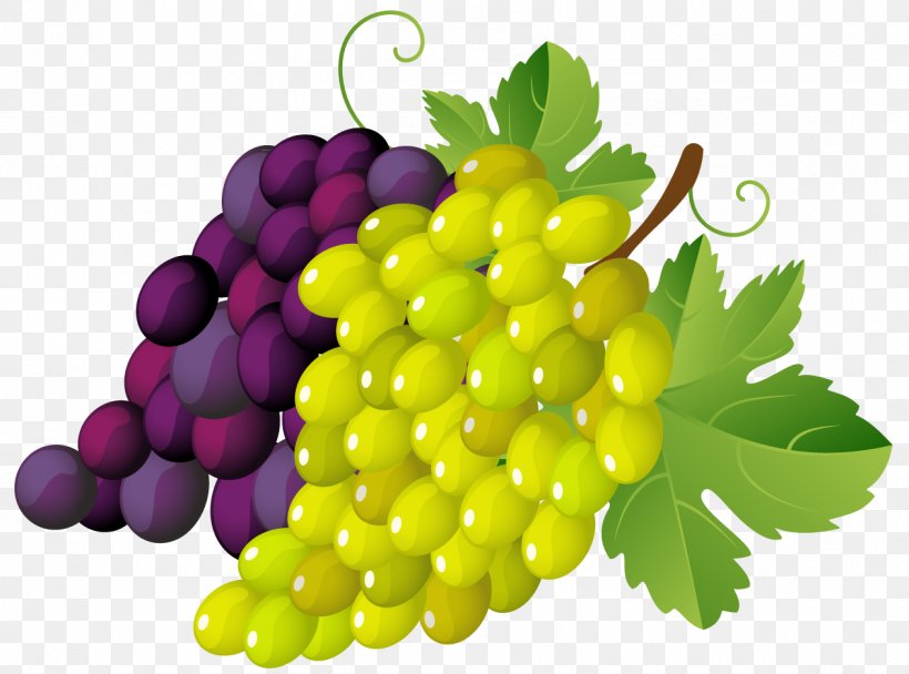 Grapevines Stock.xchng Clip Art, PNG, 1263x937px, Juice, Drawing, Food, Fruit, Grape Download Free