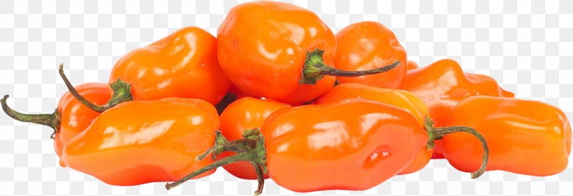 Habanero Bell Pepper Italian Cuisine Chili Pepper, PNG, 1200x412px, Habanero, Auglis, Bell Pepper, Bell Peppers And Chili Peppers, Capsicum Download Free